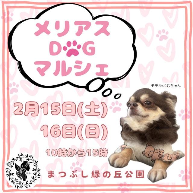 メリアスdogマルシェin埼玉県営まつぶし緑の丘公園