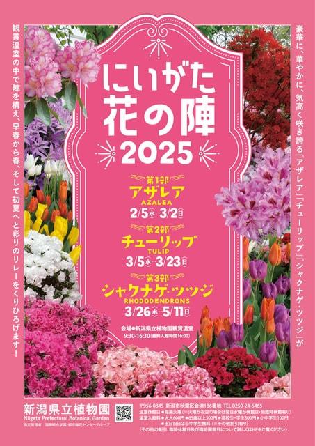 企画展示「にいがた花の陣」