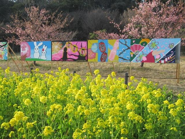 観音崎公園さくらまつり2025