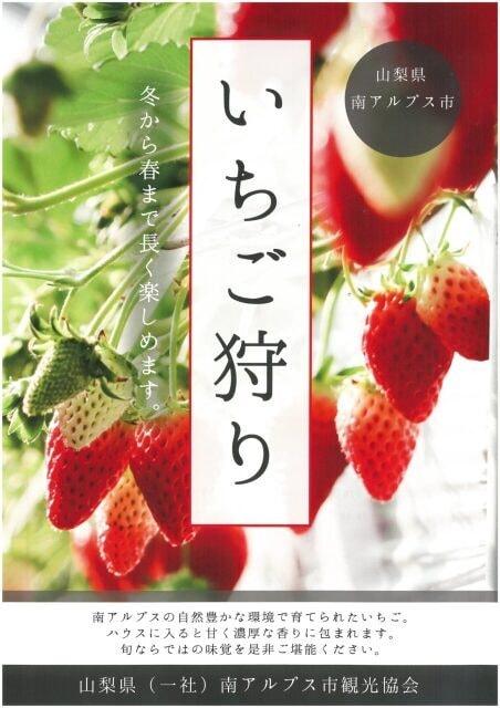 南アルプス市で「いちご狩り」