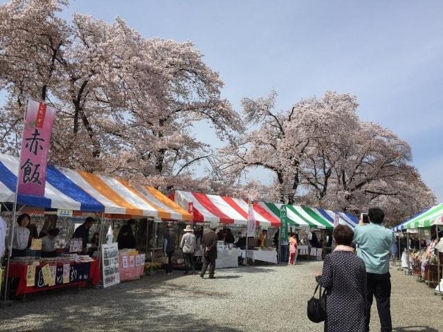 富岡製糸場観桜会