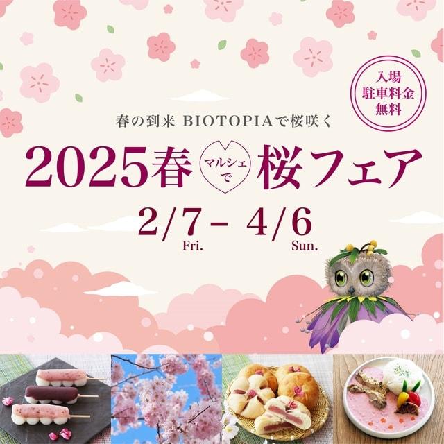 2025春　マルシェで桜フェア