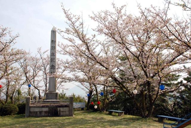 【桜・見ごろ】御野立公園