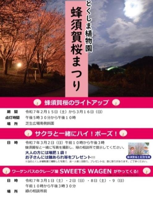 とくしま植物園　蜂須賀桜まつり