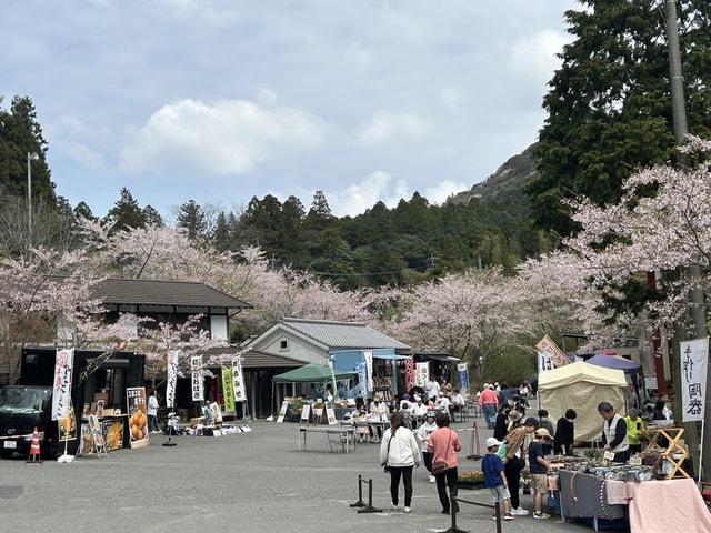 春の観音市