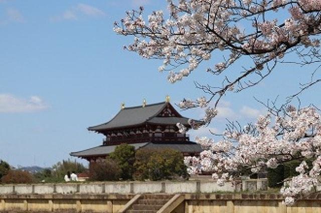 【桜・見ごろ】平城宮跡歴史公園