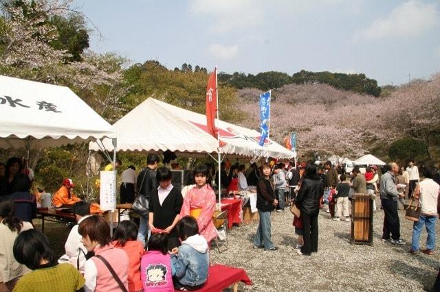 いちき串木野市　観音ヶ池さくら祭り