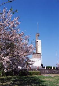 【桜・見ごろ】大峰山自然公園