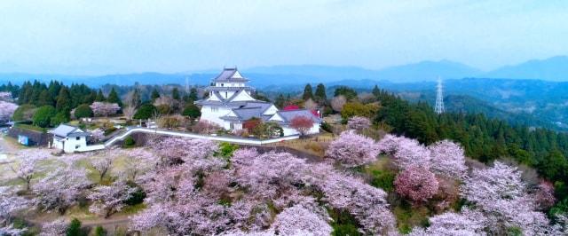 第18回 天ケ城開門 さくらまつり