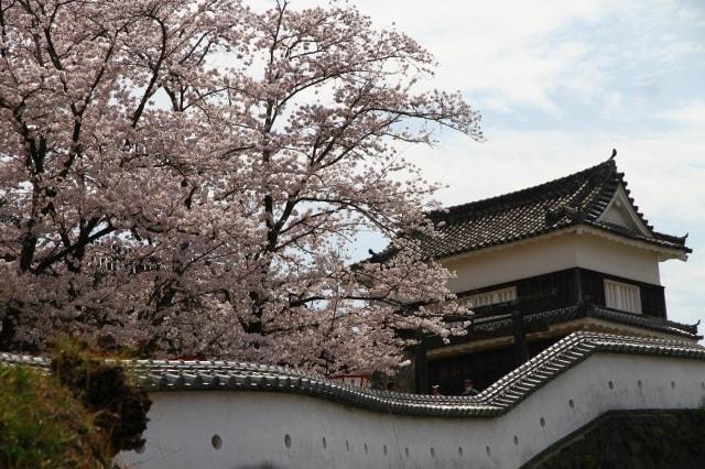 臼杵城址桜まつり