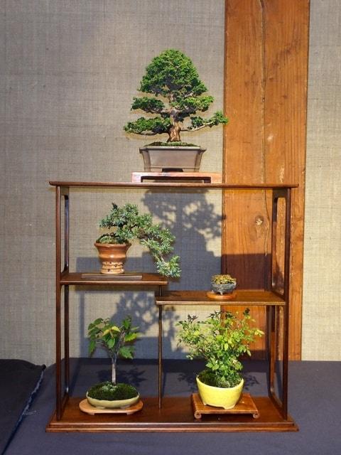 蔵の中のミニ盆栽展