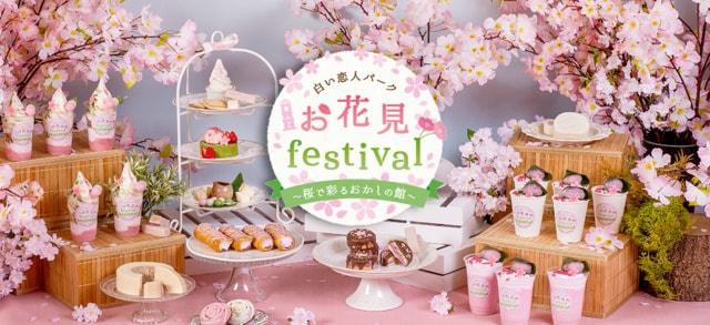 白い恋人パーク お花見festival～桜で彩るおかしの館～