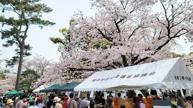 膳所桜まつり