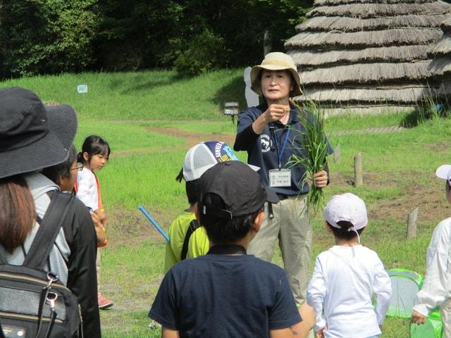 縄文の森不思議探検　縄文の森で虫を探そう