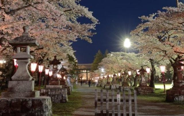 【桜・見ごろ】相馬中村神社