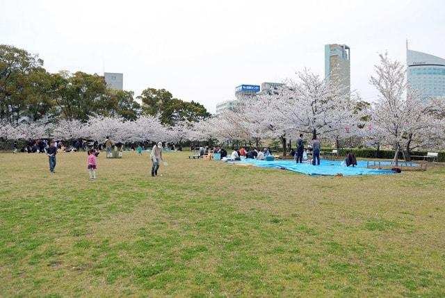 【桜・見ごろ】史跡高松城跡 玉藻公園