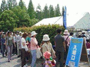 スワップミート in 花博公園スペシャル（6月）