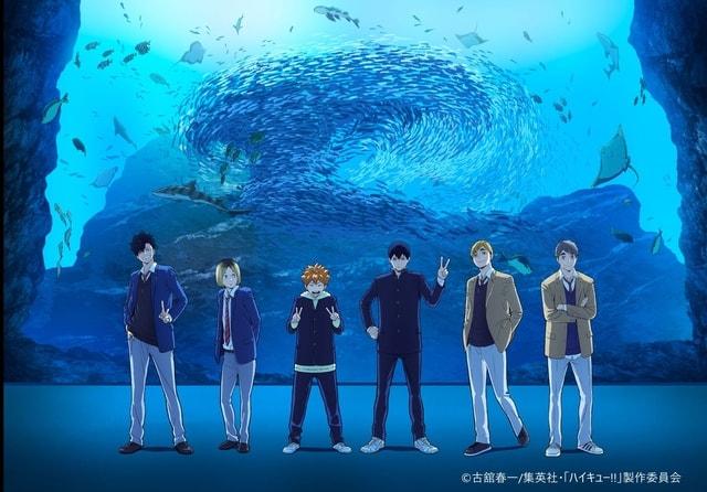 ハイキュー！！アクアリウムキャラバン！！～横浜・上越・仙台～