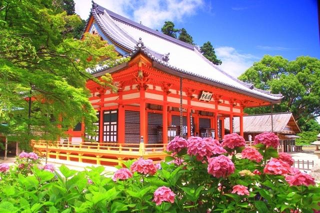勝尾寺　あじさいまつり