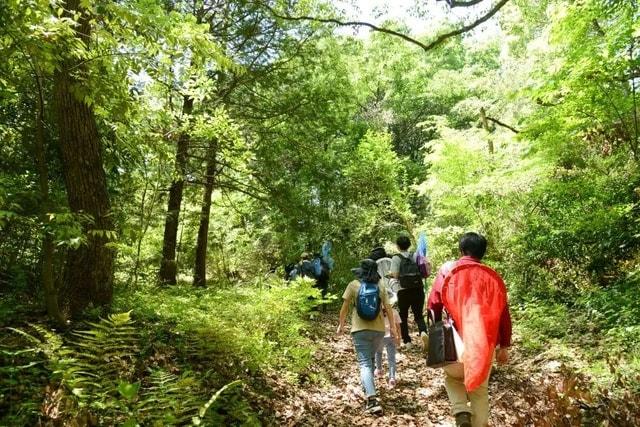 Life in the Forest　メッツァの自然の中で夜を満喫してみよう！