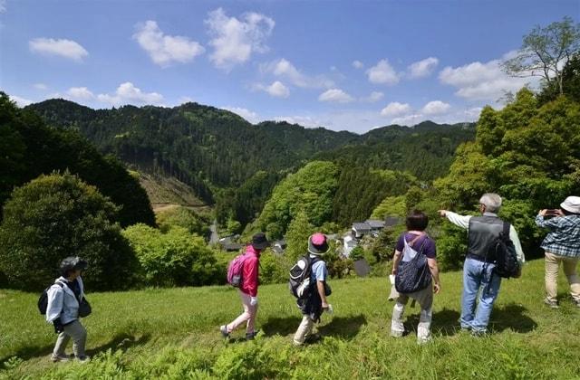 春のお散歩マーケット