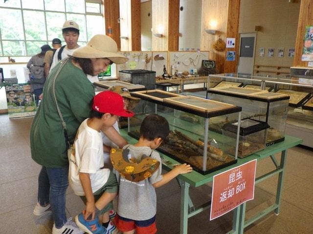 滝野の森　野外昆虫博物館