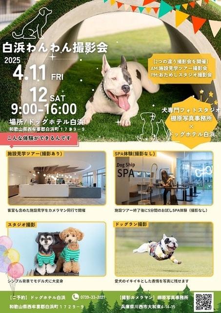 白浜わんわん撮影会／棚原写真事務所×ドッグホテル白浜