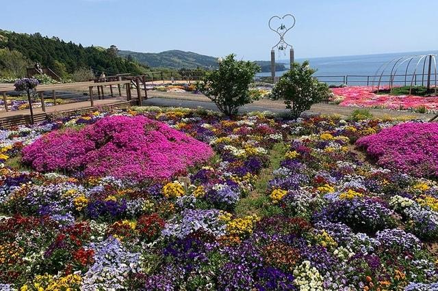 2025夢追い長島花フェスタ