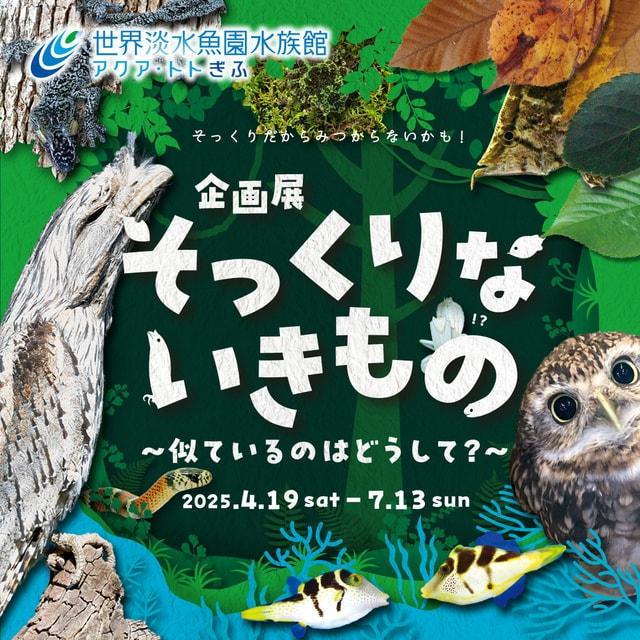 企画展『そっくりないきもの　～似ているのはどうして？～』
