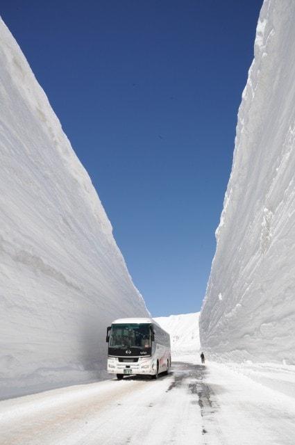 2025立山黒部ハルタビ「雪の大谷ウォーク」