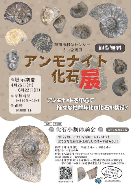 化石小割体験会