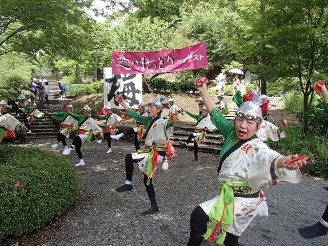 芝川日和 梅の里 稲子まつり