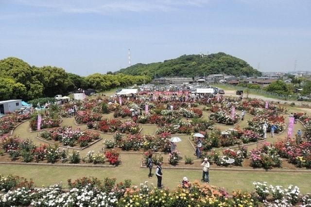春バラ観賞会
