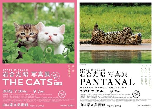 特別展「岩合光昭 写真展 PANTANAL」