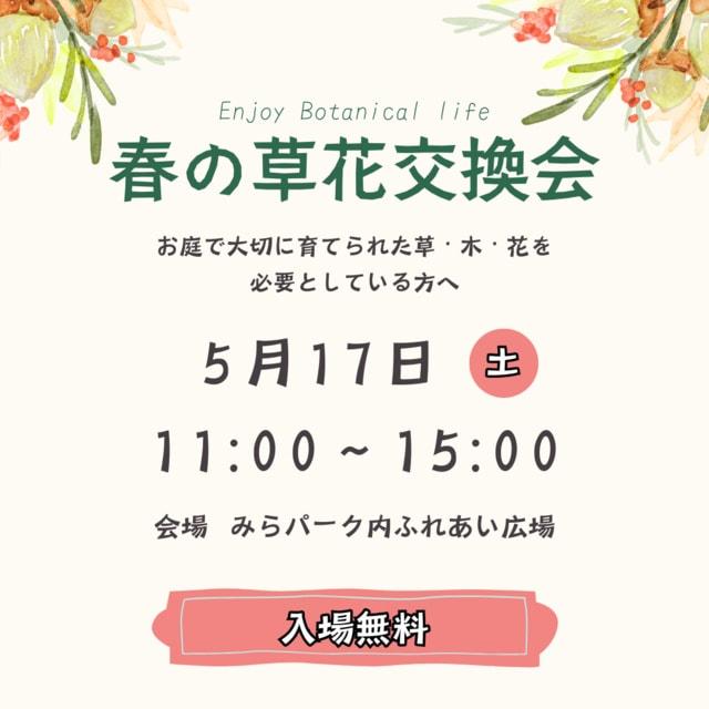 春の草花交換会