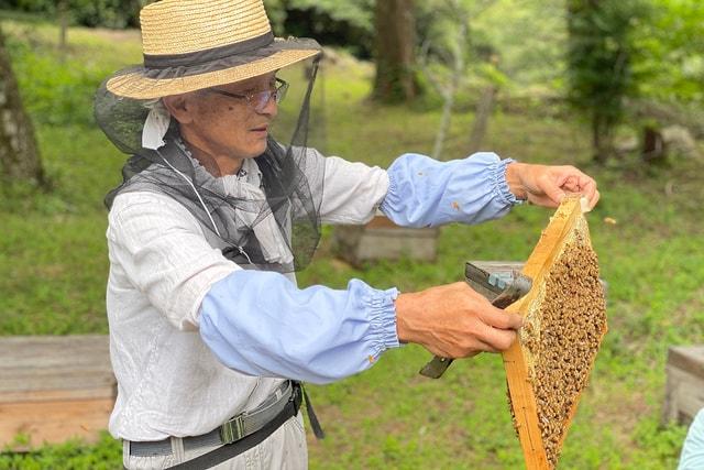 八百津町　養蜂体験とハチミツ夏の楽しみ方体験