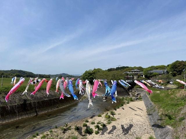 岩本橋　鯉のぼり
