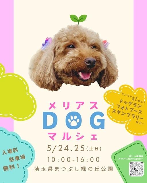 メリアスdogマルシェin埼玉県営まつぶし緑の丘公園
