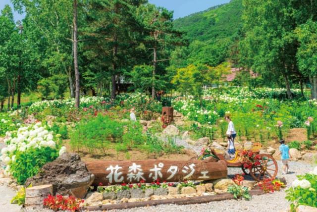【花・見ごろ】ルスツリゾート　花森ポタジェ