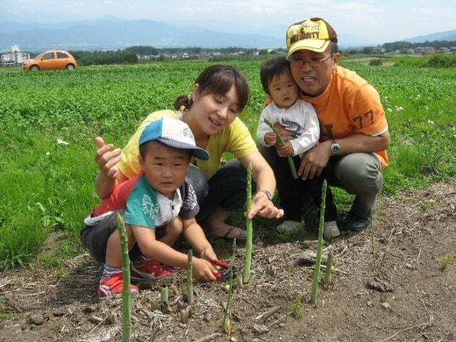 みはらしファームのアスパラ狩り