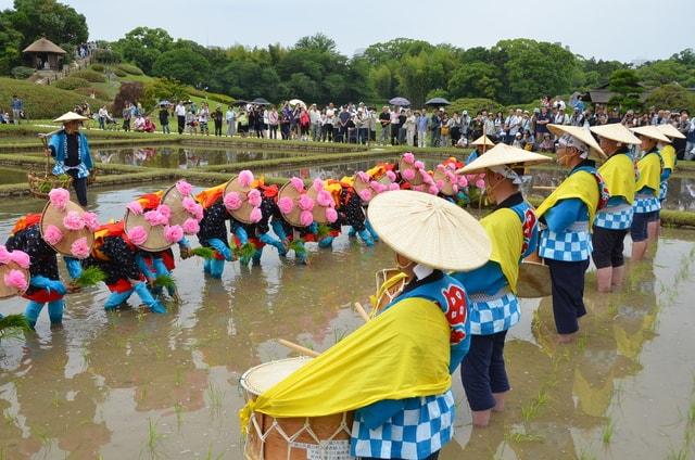 岡山後楽園「お田植え祭」