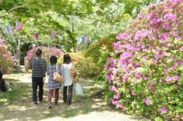 【花・見ごろ】雲井岬つつじ公園