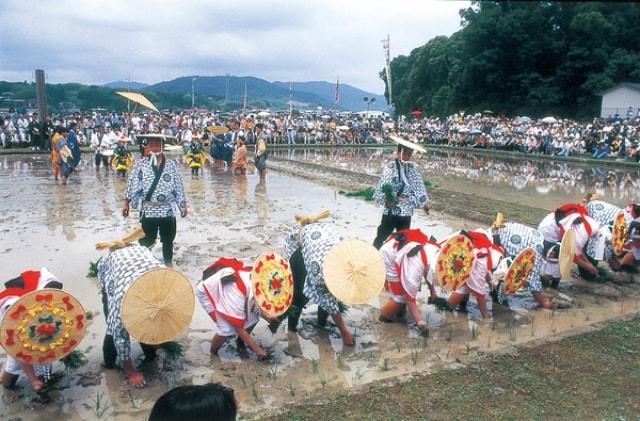 伊雑宮御田植祭