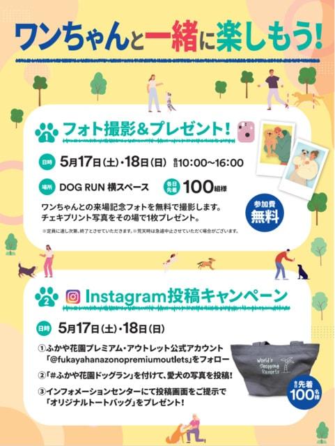ワンちゃんと一緒に楽しもう！記念フォト撮影