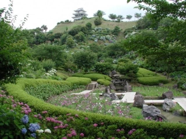 【あじさい・見ごろ】山之口あじさい公園