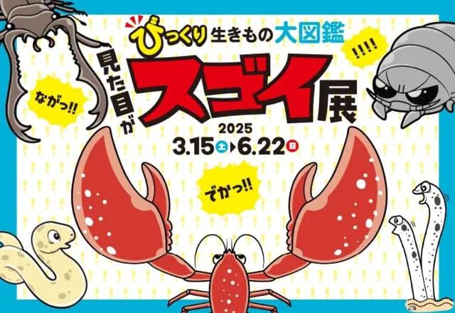 【九十九島水族館海きらら春の特別展】びっくり生きもの大図鑑 見た目がスゴイ展
