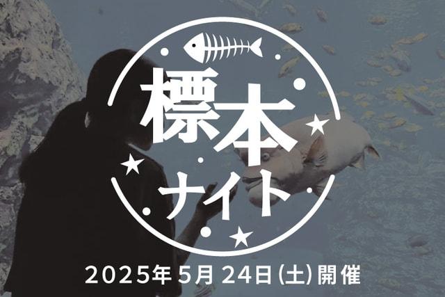 標本ナイト