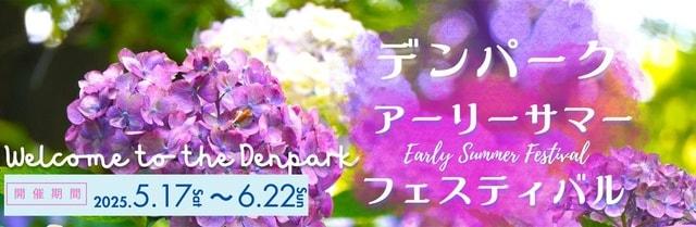 デンパークアーリーサマーフェスティバル