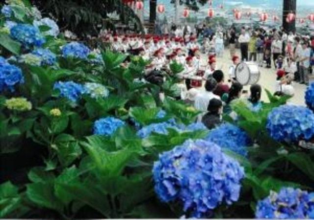 第39回粟井あじさい祭り