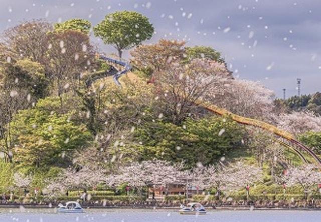Ｎｅｘｔａｇｅ　写真展